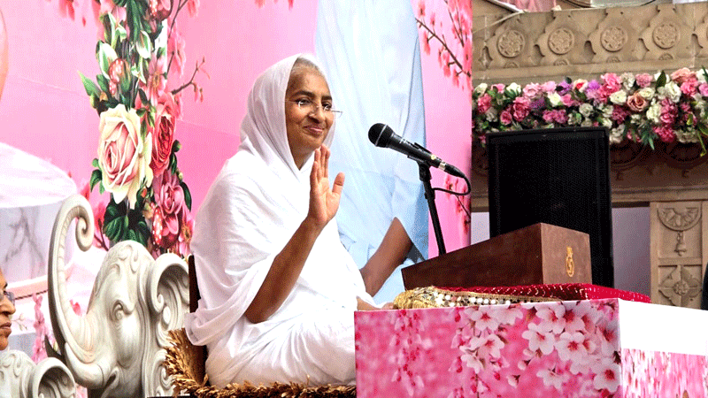Devotees are being drenched in the shower of spiritual knowledge during Chaturmas.